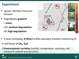 Spatial and temporal variability of soil N2O and CH4 fluxes along a degradation gradient of palm swamp peatlands in the Peruvian Amazon