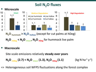 Spatial and temporal variability of soil N2O and CH4 fluxes along a degradation gradient of palm swamp peatlands in the Peruvian Amazon