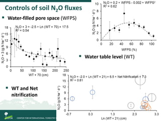 Spatial and temporal variability of soil N2O and CH4 fluxes along a degradation gradient of palm swamp peatlands in the Peruvian Amazon