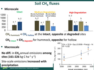 Spatial and temporal variability of soil N2O and CH4 fluxes along a degradation gradient of palm swamp peatlands in the Peruvian Amazon