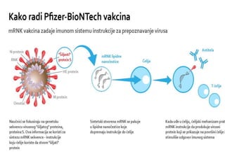 Vakcinacija i njen značaj