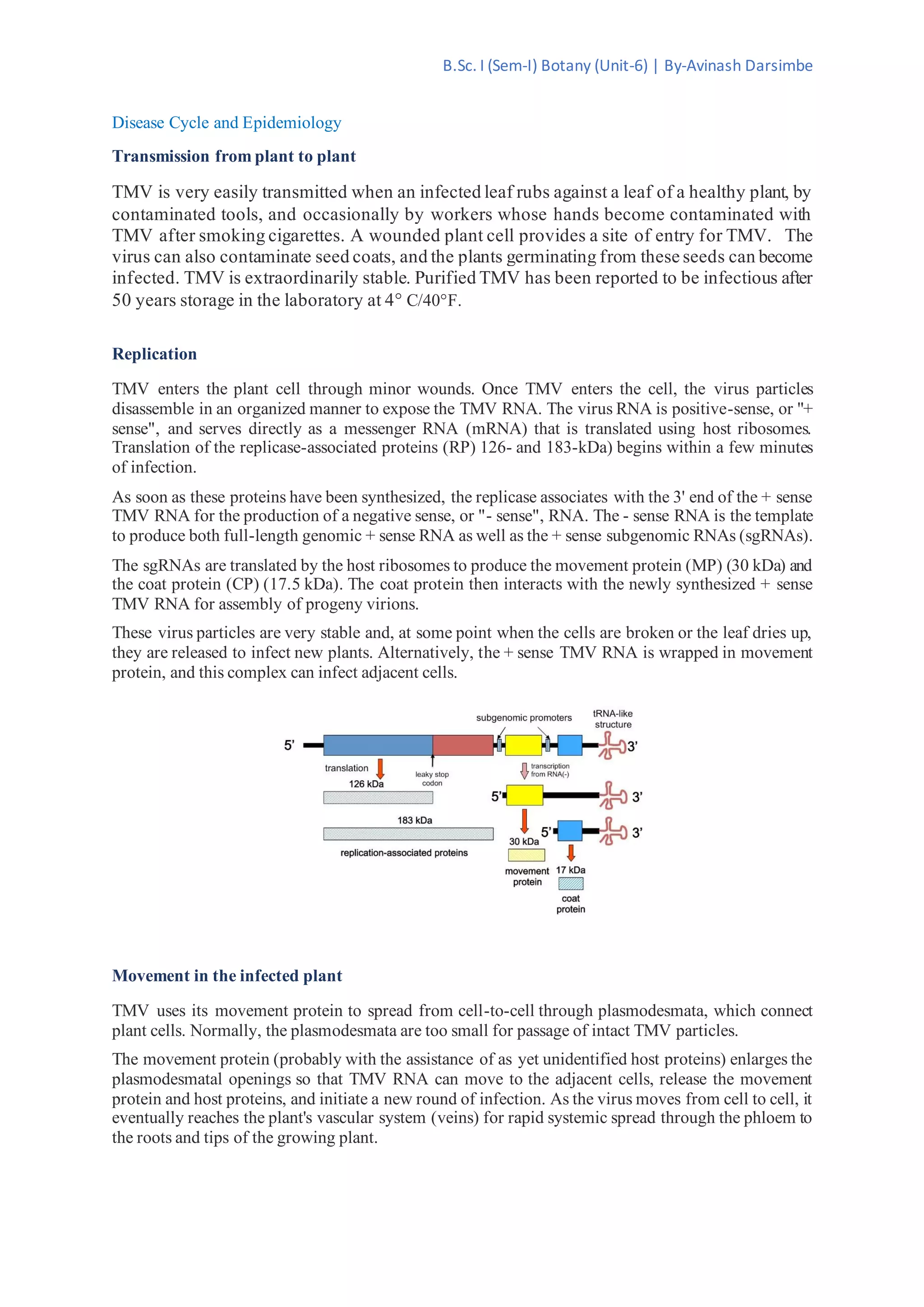 tobacco mosaic virus replication pdf Movement: From Capsid Disassembly to Transport Through Plasmodesmata 6.4.1 viral diseases tobacco mosaic