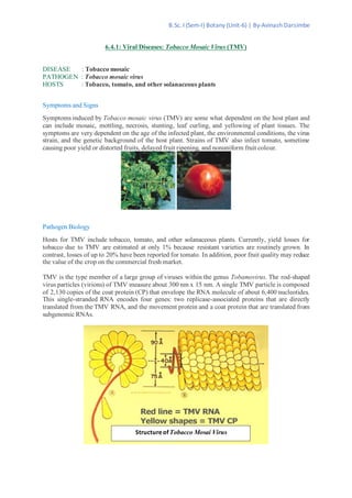 tobacco mosaic virus pdf 6.4.1 viral diseases tobacco mosaic virus (tmv)