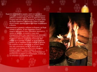 Бъдникът е специално дърво, което се поставя в
огнището в нощта срещу Коледа. Обикновено е
дебело и голямо парче, често от дъб или круша.
Според това как гори в огнището, се гадае каква
ще бъде годината – ако огънят е буен и пръска
много искри, идната година ще бъде плодородна
и богата.
Задължително е дървото, избрано за бъдник, да бъде
голямо и дебело. То ще поддържа огъня в
къщата през цялата нощ. Обичайно трапезата е
грижа на жените, но мъжете също имат
определени роли при подготовката за празника.
Така например избирането и подготовката на
бъдника е именно задача на стопанина. Той
трябва да го донесе на рамо, за да не докосва
земята, да го подготви и след това да го запали.
На сутринта огънят трябва да се загаси с вино.
Ако има неизгорели части, те могат да се
използват за направа на кръстчета или да се
вградят в ралото – това е символ на
плодородието и селския труд. Пепелта също се
разпръсква из нивите за плодородие, а може да
се използва и за лечебни цели.
 