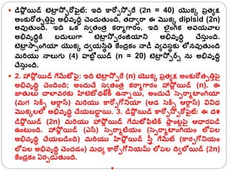  డిపోల యిడ్ టెటా
ా స్ో పరోఫెైట్: ఇద కారోపస్ో పరే (2n = 40) యొక్క పాతూక్ష
అంక్కరోతపతిాపెై అభివృది చంద్ తుంద, తదావరా ఈ మొక్క diplsid (2n)
అవుతుంద. ఇద ఒక్ సవతంతా క్రాోగ్ారం, ఇద లెైంగ్రక్ అవయవాల
అభివృదికి బద్ లకగ్ా టెటా
ా స్ో పరంజయాని అభివృది చేసా ంద.
టెటా
ా స్ాపంగ్రయా యొక్క ద్వయసిథతి కేంద్ాక్ం న్ాడీ వూవసథక్క లోనవుతుంద
మరరయు న్ాలకగు (4) హబలల యిడ్ (n = 20) టెటా
ా స్ో పర్సి న అభివృది
చేసా ంద.
 2. హాపోల యిడ్ గ్ేమేటోఫెై: ఇద టెటా
ా స్ో పరే (n) యొక్క పాతూక్ష అంక్కరోతపతిాపెై
అభివృది చందంద; అంద్ చే సవతంతా క్రాోగ్ారం హాపోల యిడ్ (n). ఈ
జాతులక చాలావరక్క హేటెటోథలిక్స ఉన్ాియి, అంద్ చే సెపరాోటాంగ్రయా
(మగ సెక్సి ఆరా
ా న్) మరరయు కారోపగ్ోనియా (ఆడ సెక్సి ఆరా
ా న్) వివిధ్
మొక్కలలో అభివృది చేయబడా
ా యి. 3. డిపోల యిడ్ కారోపస్ో పరోఫెైట్: ఈ ద్శ
డిపోల యిడ్ (2n) మరరయు హాపోల యిడ్ గ్ేమటోఫిటిక్స పా
ల ంటల పెై ఆధారపడి
ఉంట ంద. హాపోల యిడ్ (ఎన్) సెపరాోటియం (సెపరాోటాంగ్రయం లోపల
అభివృది చేయబడింద) మరరయు హపోల యిడ్ స్ాై గ్ేమేట్ (కారపగ్ోనియం
లోపల అభివృది చంద్డం) మధ్ూ కారోపగ్ోనియమ్ లోపల దవలోయిడ్ (2n)
కేంద్ాక్ం ఏరపడలతుంద.

 