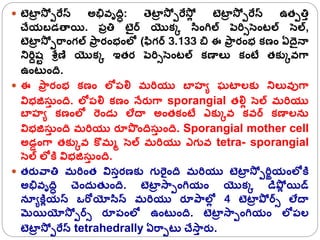  టెటా
ా స్ో పరేస్ అభివృది: తటా
ా స్ో పరేస్ోల టెటా
ా స్ో పరేస్ ఉతపతిా
చేయబడతాయి. పాతి టెైర్స యొక్క సింగ్రల్ పెరరిసెంటల్ సెల్,
టెటా
ా స్ో పరాంగల్ పా
ా రంభంలో (ఫిగర్స 3.133 బి ఈ పా
ా రంభ క్ణం ఏదైన్ా
నిరరదష్ి శరిణి యొక్క ఇతర పెరరిసెంటల్ క్ణాలక క్ంటే తక్కకవగ్ా
ఉంట ంద.
 ఈ పా
ా రంభ క్ణం లోపలి మరరయు బాహూ ఘటాలక్క నిలకవుగ్ా
విభజసా ంద. లోపలి క్ణం న్ేరుగ్ా sporangial తలిల సెల్ మరరయు
బాహూ క్ణంలో రండల లేదా అంతక్ంటే ఎక్కకవ క్వర్స క్ణాలన
విభజసా ంద మరరయు రూపొందసా ంద. Sporangial mother cell
అడాంగ్ా తక్కకవ కొమో సెల్ మరరయు ఎగువ tetra- sporangial
సెల్ లోకి విభజసా ంద.
 తరువాతి మరరంత విసారణక్క గురైంద మరరయు టెటా
ా స్ో పరరియంలోకి
అభివృది చంద్ తుంద. టెటా
ా స్ాపంగ్రయం యొక్క డిపోల యిడ్
నయూకిలయస్ ఒరోయోసిస్ మరరయు రూపాలో
ల 4 టెటా
ా పో ర్సి లేదా
మయియోస్ో పర్సి రూపంలో ఉంట ంద. టెటా
ా స్ాపంగ్రయం లోపల
టెటా
ా స్ో పరేస్ tetrahedrally ఏరాపట చేస్ా
ా రు.
 