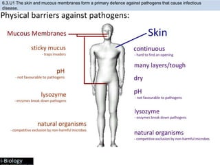 6.3.U1 The skin and mucous membranes form a primary defence against pathogens that cause infectious
disease.
 