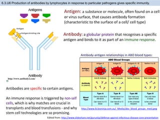 6.3.U6 Production of antibodies by lymphocytes in response to particular pathogens gives specific immunity.
http://www.ib.bioninja.com.au/_Media/abo_blood_groups_med.jpeg
Edited from: http://www.slideshare.net/gurustip/defense-against-infectious-disease-core-presentation
 