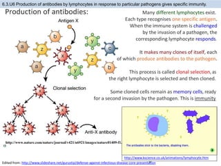 6.3.U6 Production of antibodies by lymphocytes in response to particular pathogens gives specific immunity.
http://www.kscience.co.uk/animations/lymphocyte.htm
Edited from: http://www.slideshare.net/gurustip/defense-against-infectious-disease-core-presentation
 