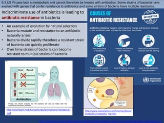6.3.U8 Viruses lack a metabolism and cannot therefore be treated with antibiotics. Some strains of bacteria have
evolved with genes that confer resistance to antibiotics and some strains of bacteria have multiple resistance.
Indiscriminate use of antibiotics is leading to
antibiotic resistance in bacteria
• An example of evolution by natural selection
• Bacteria mutate and resistance to an antibiotic
naturally arises
• Bacteria divide rapidly therefore a resistant strain
of bacteria can quickly proliferate
• Over time strains of bacteria can become
resistant to multiple strains of bacteria
http://www.who.int/mediacentre/events/2015/world-antibiotic-awareness-week/infographic-causes.jpg?ua=1
http://outreach.mcb.harvard.edu/animations/resistance7
.swf
http://www.sumanasinc.com/scienceinfocus/
antibiotics/antibiotics_fla.html
 
