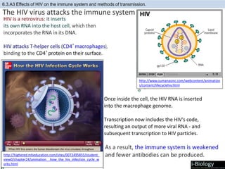 6.3.A3 Effects of HIV on the immune system and methods of transmission.
http://www.sumanasinc.com/webcontent/animation
s/content/lifecyclehiv.html
http://highered.mheducation.com/sites/0072495855/student_
view0/chapter24/animation__how_the_hiv_infection_cycle_w
orks.html
 