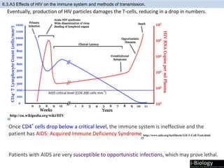 6.3.A3 Effects of HIV on the immune system and methods of transmission.
 