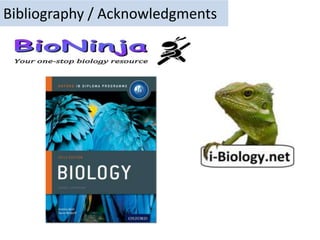 Bibliography / Acknowledgments
 
