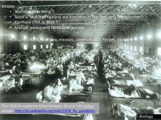 The 1918 flu epidemic killed between 50 and 130 million
people. http://en.wikipedia.org/wiki/1918_flu_pandemic
Viruses
• Acellular (non-living?)
• Need a ‘host’ cell to carry out functions of life, including reproduction
• Can have DNA or RNA
• Mutate, evolve and recombine quickly
Cause:
• Flu, HIV/AIDS, smallpox, measles, common cold, herpes, ebola
 