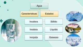 6. Capas de la Biosfera.pptx