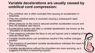 Variable decelerations are usually caused by
umbilical cord compression:
● The umbilical vein is often occluded first causing an acceleration in
response.
● Then the umbilical artery is occluded causing a subsequent rapid
deceleration.
● When pressure on the cord is reduced another acceleration occurs and
then the baseline rate returns.
● Accelerations before and after a variable deceleration are known as the
“shoulders of deceleration”.
● Their presence indicates the fetus is not yet hypoxic and is adapting to the
reduced blood flow.
● Variable decelerations can sometimes resolve if the mother changes
position.
● The presence of persistent variable decelerations indicates the need for
close monitoring.
● Variable decelerations without the shoulders are more worrying, as it
suggests the fetus is becoming hypoxic.
 