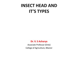 INSECT HEAD AND
IT’S TYPES
Dr. V. S Acharya
Associate Professor (Ento)
College of Agriculture, Bikaner
 