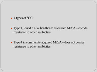 Mrsa Two Types 6.2 MRSA in Orthopaedic Surgery.pptx