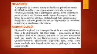 MECANISMO
Compresión de la arteria aorta y de las iliacas primitivas en más
de 50% de su calibre, por el peso uterino contra la columna
vertebral, acentuado por la contracción uterina, dicha compresión
puede producir una disminución del aporte de sangre al útero a
través de las arterias uterinas, obstaculiza el flujo sanguíneo por
debajo de la oclusión, produciéndose una hipotensión de miembros
inferiores y a nivel útero -placentario.
FISIOPATOLOGÍA
Hipotensión regional por la compresión de la aorta en 50% o más,
lleva a la disminución del flujo útero – placentario, el flujo
sanguíneo fetal se ve alterado, entonces se produce hipotensión
fetal, por acción de los Barorreceptores; también actúan los
Quimiorreceptores, produciendo taquicardia fetal, luego viene
como resultado una desaceleración que se prolonga en tanto la
causa persista.
7
 