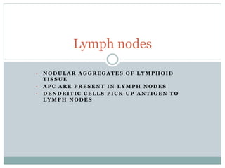 • N O D U L A R A G G R E G A T E S O F L Y M P H O I D
T I S S U E
• A P C A R E P R E S E N T I N L Y M P H N O D E S
• D E N D R I T I C C E L L S P I C K U P A N T I G E N T O
L Y M P H N O D E S
Lymph nodes
 