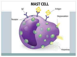 6. Lymphatic system.pptx