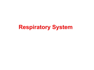 Respiratory System
 