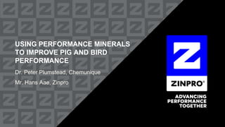 USING PERFORMANCE MINERALS
TO IMPROVE PIG AND BIRD
PERFORMANCE
Dr. Peter Plumstead, Chemunique
Mr. Hans Aae, Zinpro
 