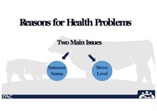 R
easonsforH
ealthProblems
TwoMainIssues
Immune
Status
Stress
Level
 