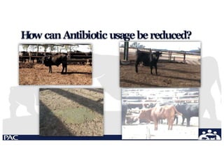 H
ow canAntibiotic usagebereduced?
 
