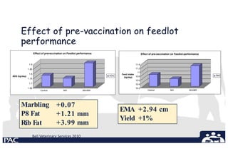 Effect of pre-vaccination on feedlot
performance
1.75
1.7
1.65
1.9
1.85
1.8
ADG (kg/day)
Control MH MH/IBR
Effect of prevaccination on Feedlot performance
ADG
11.4
11.2
11
10.8
10.6
10.4
10.2
Feed intake
(kg/day)
Control MH MH/IBR
Effect of pre-vaccination on Feedlot-performance
DMI
Bell Veterinary Services 2010
Marbling
P8 Fat
Rib Fat
+0.07
+1.21 mm
+3.99 mm
EMA +2.94 cm
Yield +1%
 