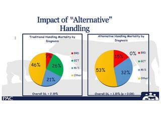 Impact of “Alternative”
Handling
🞄
7%
26%
21%
46%
Traditional Handling Mortality by
Diagnosis
BRD
GIT
M/S
Other
15%
0%
32%
53%
Alternative Handling Mortality by
Diagnosis
BRD
GIT
M/S
Other
Overall DL = 2.19% Overall DL = 1.19% (p = 0.08)
 