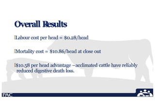 Overall R
esults
🞄Labour cost per head = $0.28/head
🞄Mortality cost = $10.86/head at close out
🞄$10.58 per head advantage –acclimated cattle have reliably
reduced digestive death loss.
 