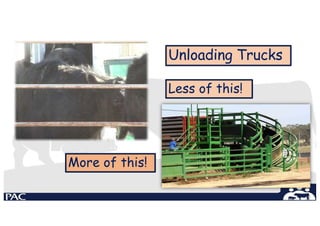 Unloading Trucks
Less of this!
More of this!
 