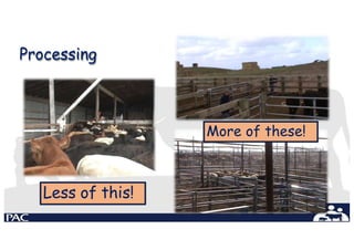 Processing
Less of this!
More of these!
 