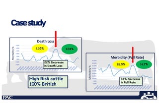 Cas
es
tudy
3.50%
3.00%
2.50%
2.00%
1.50%
1.00%
0.50%
0.00%
1
5 5 6 6 6 6 6 7 7
09
1
0
1

1
0
4

1
0
6

1
0
9

1
1
2

1
0
3

1
0
5

1
Mortality
%
Death Loss
45.00%
40.00%
35.00%
30.00%
25.00%
20.00%
15.00%
10.00%
5.00%
0.00%
Morbidity
%
High Risk cattle
100% British
1.35%
22% Decrease
in Death Loss
1.03%
Morbidity (Pull Rate)
26.5% 16.7%
37% Decrease
in Pull Rate
 