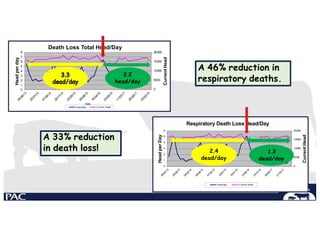 0
5000
10000
15000
20000
0
1
2
3
4
5
6
Current
Head
Head
per
Day
Respiratory Death Loss Head/Day
Head/day Current Head
0
5000
10000
15000
20000
8
7
6
5
4
3
2
1
0
Current
Head
Head
per
day
Death Loss Total Head/Day
Date
Head/day Current Head
2.2
head/day
A 33% reduction
in death loss! 2.4
dead/day
1.3
dead/day
A 46% reduction in
respiratory deaths.
 