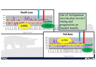 0.00%
1.00%
0.50%
2.00%
1.50%
2.50%
15010
6
11050
6
18090
6
19010
7
200507
16120
7
280608
17110
8
240409
031209
280410
050910
280211
170711
150212
180612
18121
2
280413
220913
31011
4
300614
23101
4
230215
250615
15101
5
030316
140716
20101
6
020317
060717
05101
7
25011
8
100518
270918
24011
9
300519
260919
Death Loss
Total 0-120
35.00%
30.00%
25.00%
20.00%
15.00%
10.00%
5.00%
0.00%
15010
6
11050
6
18090
6
19010
7
200507
16120
7
280608
17110
8
240409
031209
280410
050910
280211
170711
150212
180612
18121
2
280413
220913
31011
4
300614
23101
4
230215
250615
15101
5
030316
140716
20101
6
020317
060717
05101
Pull Rate
Total 0-120
Use of Autogenous
vaccine plus correct
timing and
preparation on
feedlot health.
0.95% 0.51%
12.79%
7.12%
 