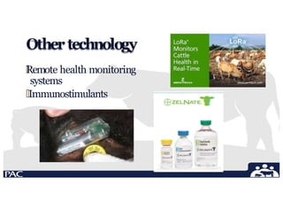 Othertechnology
🞄
Remote health monitoring
systems
🞄Immunostimulants
 
