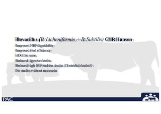 🞄Bovacillus (B. Licheniformis + B. Subtilis) CHR Hansen
🞄Improved NDFdigestibility
🞄Improved feed efficiency
🞄ADG the same.
🞄Reduced digestive deaths.
🞄Reduced high DOF sudden deaths (Clostridial deaths?)
🞄No studies without monensin
 