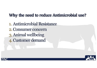 Why the need to reduce Antimicrobial use?
1. Antimicrobial Resistance
2.Consumer concern
3.Animal wellbeing
4.Customer demand
 