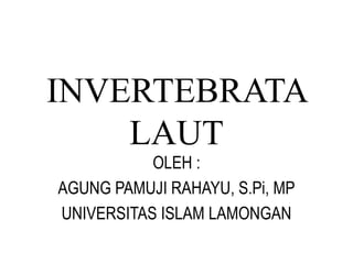 INVERTEBRATA
LAUT
OLEH :
AGUNG PAMUJI RAHAYU, S.Pi, MP
UNIVERSITAS ISLAM LAMONGAN
 