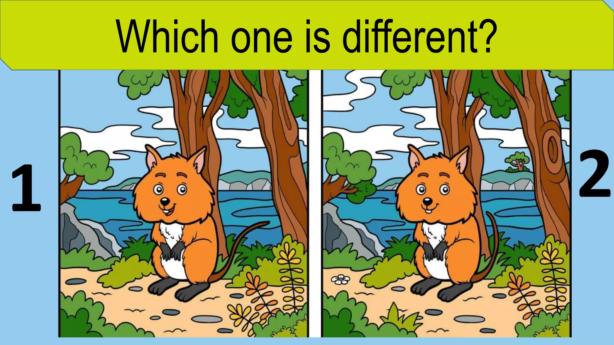 Which one is different?
1 2