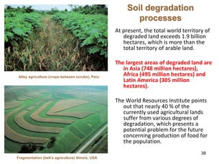38
Soil degradation
processes
At present, the total world territory of
degraded land exceeds 1.9 billion
hectares, which i...