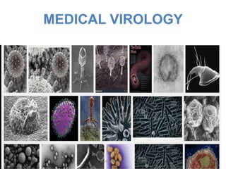 MEDICAL VIROLOGY
Virology for PC-II 1
 