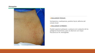 ❑HALLAZGOS FOCALES :
hemiparesia, cuadriparesia, parálisis facial, defectos del
campo visual.
❑HALLAZGOS CUTÁNEOS :
Pueden aparecer petequias y púrpura con cualquiera de los
patógenos bacterianos, pero se observan con mayor
frecuencia en N. meningitidis .
 