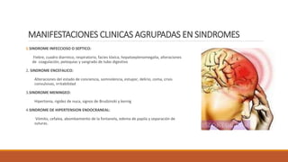 MANIFESTACIONES CLINICAS AGRUPADAS EN SINDROMES
1.SINDROME INFECCIOSO O SEPTICO:
Fiebre, cuadro diarreico, respiratorio, facies tóxica, hepatoeplenomegalia, alteraciones
de coagulación, petequias y sangrado de tubo digestivo
2. SINDROME ENCEFALICO:
Alteraciones del estado de conciencia, somnolencia, estupor, delirio, coma, crisis
convulsivas, irritabilidad
3.SINDROME MENINGEO:
Hipertonia, rigidez de nuca, signos de Brudzinzki y kernig
4.SINDROME DE HIPERTENSION ENDOCRANEAL:
Vómito, cefalea, abombamiento de la fontanela, edema de papila y separación de
suturas.
 
