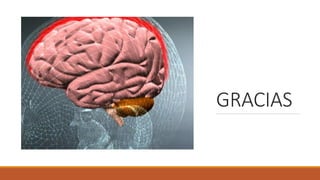 GRACIAS
 