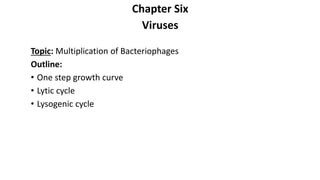 Chapter Six
Viruses
Topic: Multiplication of Bacteriophages
Outline:
• One step growth curve
• Lytic cycle
• Lysogenic cycle
 