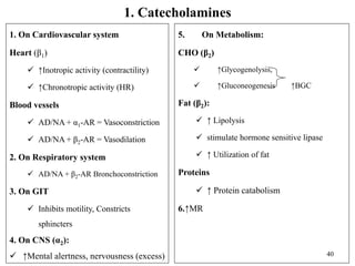 6. Endocrine physiology.pptx