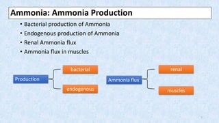 Ammonia: Ammonia Production
• Bacterial production of Ammonia
• Endogenous production of Ammonia
• Renal Ammonia flux
• Ammonia flux in muscles
7
Production Ammonia flux
endogenous
bacterial
muscles
renal
 